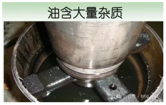 /UploadFile/News/20250908/b668e9b251c1493c9599cd06254b659b.png image.png